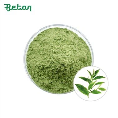 Òganik Matcha Powder Bulk